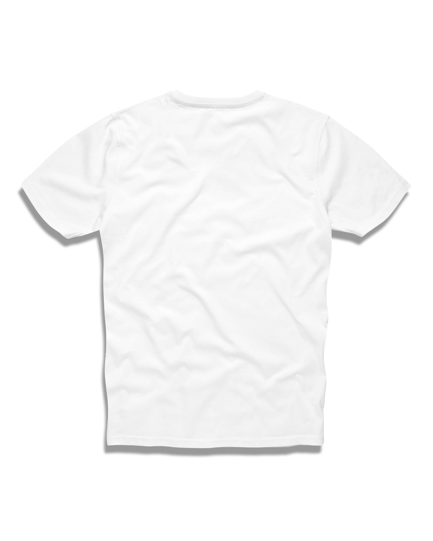 Pánské triko BASIC V WHITE
